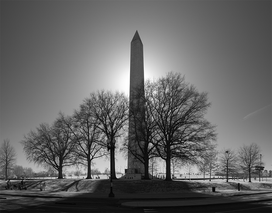 Backlit Infrared Photo of Washington Monument with Trees in Forground.